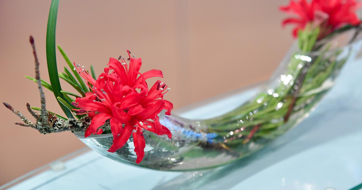 Rote Blume auf Tresen